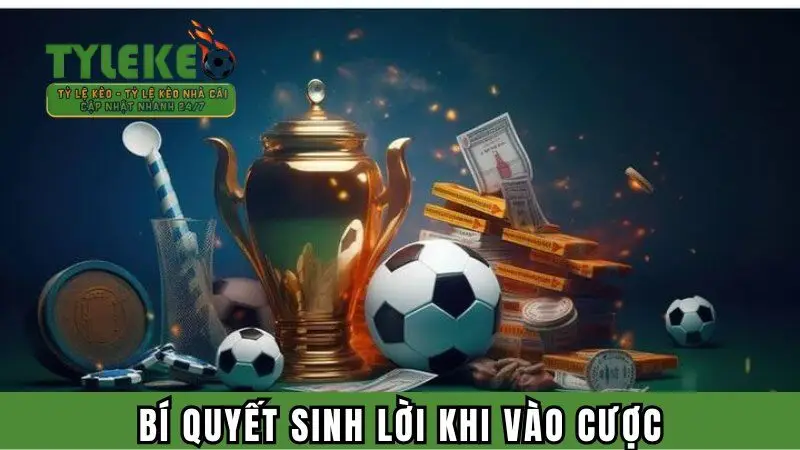 Bí quyết sinh lời khi vào cược