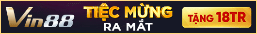 Banner Vin88